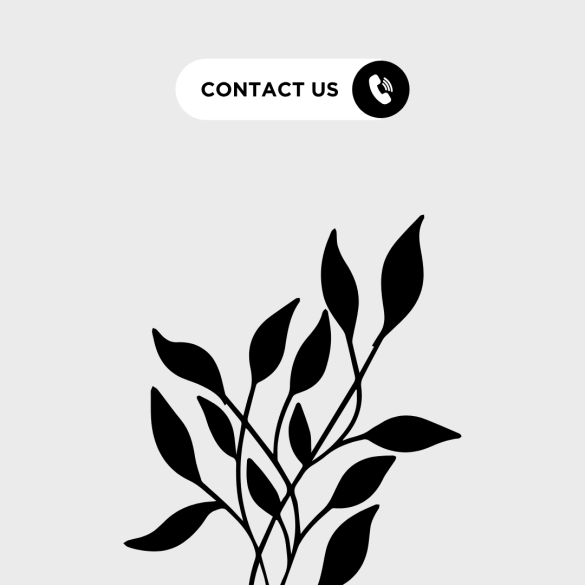 درباره استدیو طراحی بهرنگ